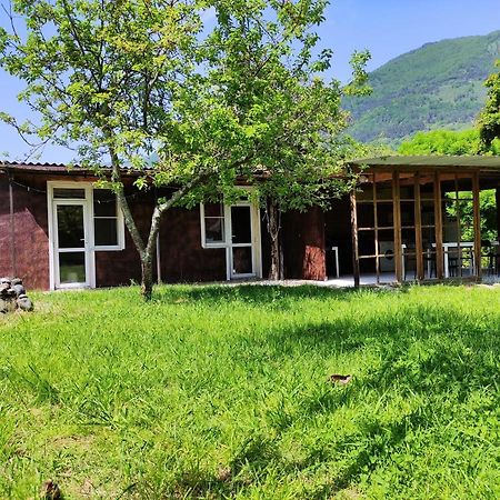 V Gostiakh U Maii Hotel Gagra Eksteriør billede